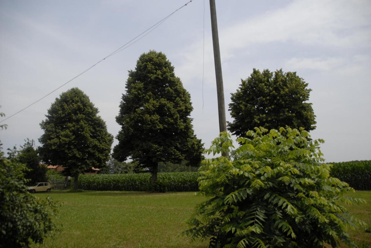 Spighe Paglia E Girasole Panzió Candia Canavese Kültér fotó