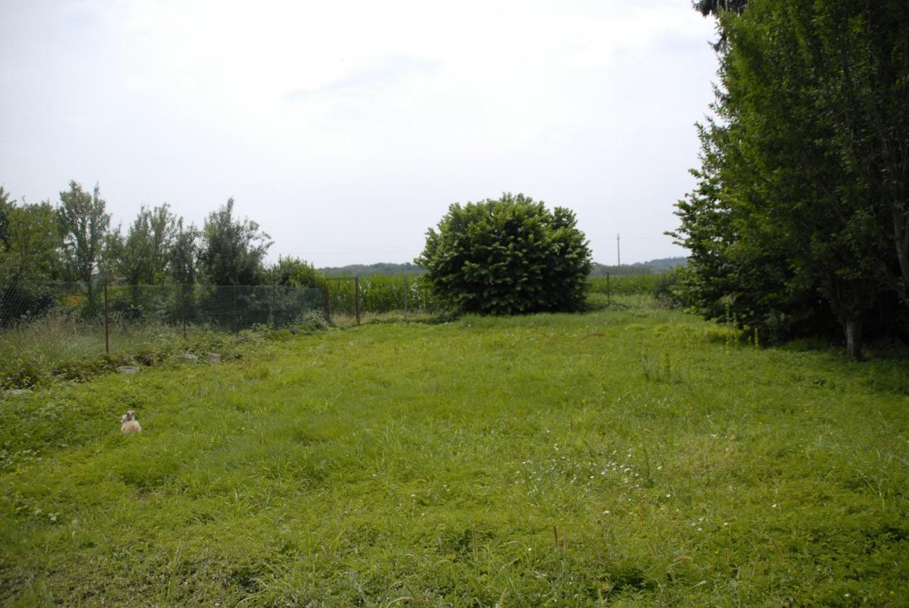 Spighe Paglia E Girasole Panzió Candia Canavese Kültér fotó